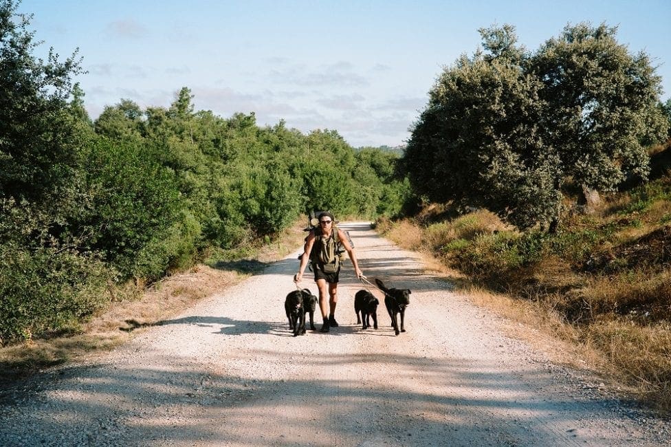 Edwin W. Moes/Gabriel ist seit dem 15. September 2015 auf Pilgerschaft. Bis heute hat er als Fußwanderer etwa 15.000 km hinter sich gebracht. Seit 2017 begleitete ihn sein erster Hund Guin, dann kam Chi, der Papa. Ihre beiden Söhne Noah und Logan wurden auf der Reise geboren. Vier schwarze Tiere und ein Wanderer. Das Pack, wie er sagt.