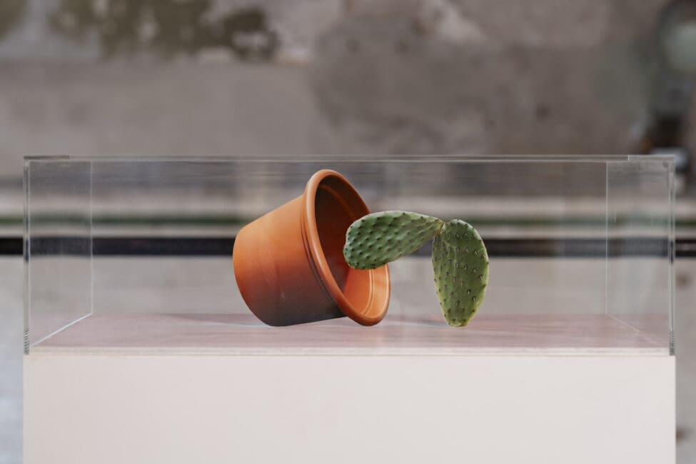 One of Bratkov’s new works, Horoscope for the European Union, created for the exhibition ‘New Memories’, features a cactus caught between staying in its pot or leaving it—a striking metaphor for the indecision and complexities of our era.